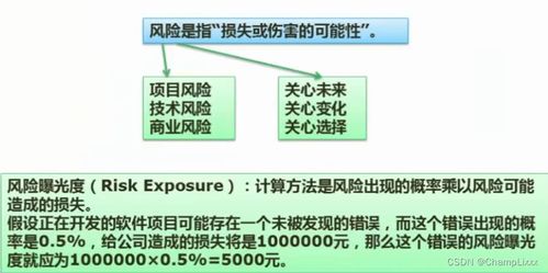 软件工程中的质量与效率基石 软件测试、McCabe复杂度、CMMI与项目/工程管理服务